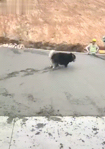 “车上天降用过的durux？！”妹子爆出现场照，5000好友都炸了！！！