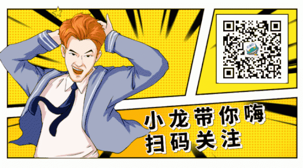 当代猫狗成精现场，哈哈哈哈哈它们其实是人吧！